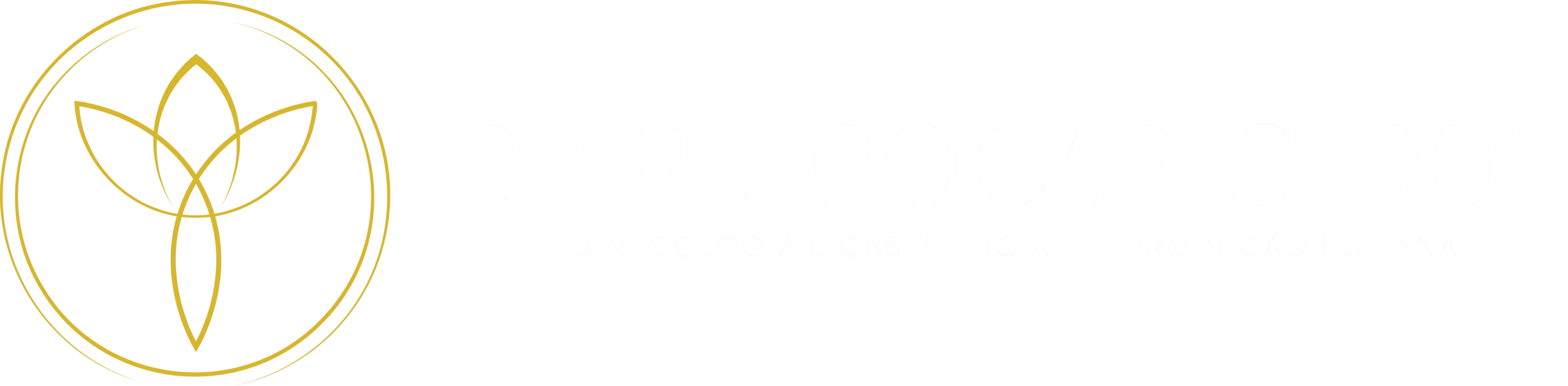 dr-pedro-carlstron-medico-reproducao-humana-fertilidade-logo (1)